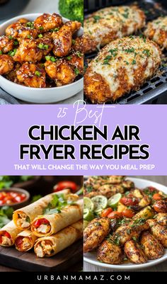 Chicken Air Fryer Recipes That Will Change The Way You Meal Prep Chicken Air Fryer Recipes, Delicious Air Fryer Recipes, Chicken Air Fryer, Meal Prep For Work, Make Ahead Lunches, Health Conscious, Air Fryer Recipes Healthy, Meal Prep For The Week, Food Help