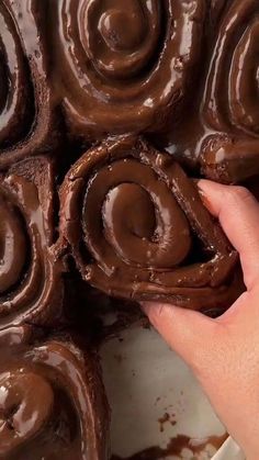 a hand is holding a chocolate roll in front of it