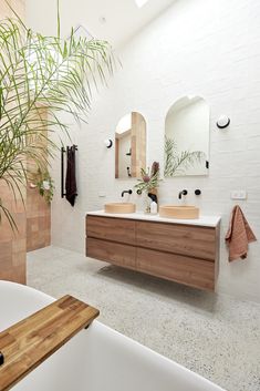 a bathroom with two sinks, mirrors and a plant in the middle of the room