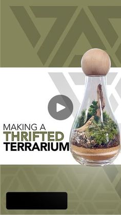 an image of a glass vase with plants inside it and the words making a thrifted terrarium