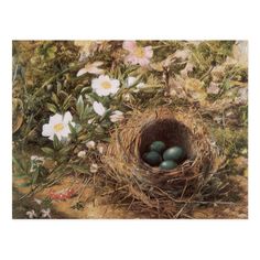 an image of a bird's nest with eggs and flowers in the foreground