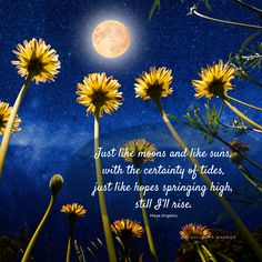 flowers with the moon in the background and a quote from bill gile on it