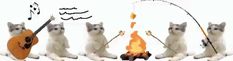 a group of cats that are standing in front of a fire with guitars and musical notes