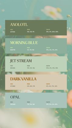 Colors:
6A7A5A
8DAF9B
BED2BA
D7CBB2
AAC4BC Cute Colour Pallete, Color Combinations Canva, Procreate Hex Codes, Interior Design Palette Mood Boards, Canva Palettes Color, May Color Palette, Pretty Color Combos, Spring Color Combinations, Hex Codes Color Palette