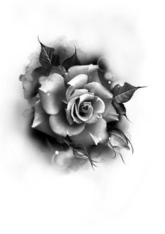 a black and white photo of a rose