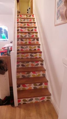 a cat is sitting on the stairs next to a carpeted stair case with colorful leaves