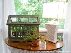 a table with a potted plant on it next to a small house shaped like a cage