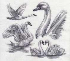 Swan Sketch, Swan Drawing, Swan Tattoo, Animal Drawings Sketches, Embroidered Quilts, Arte Inspo, Pencil Art Drawings, Embroidery Library, Bird Drawings