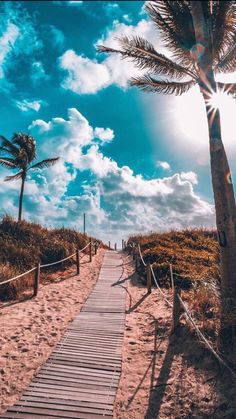 a wooden path leading to the beach with palm trees on both sides and blue sky in the background