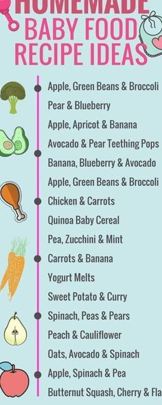 an info sheet with some food items on it and the words homemade baby food recipe ideas