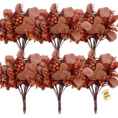 three rows of brown flowers on top of each other in front of a white background