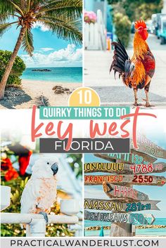 the top 10 things to do in key west florida