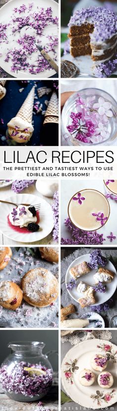 lilac recipes the art and science of making lavender desserts by julia o'connor