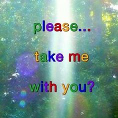 the words please take me with you? are shown in front of sunlight shining through trees