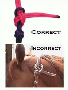 a horse with a rope on it's back and the words correct in two different languages