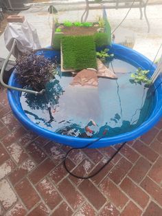 a small pond made out of an old trampoline