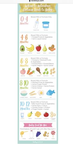 an info sheet showing the different foods that are in each portion of the food chart