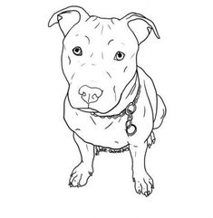 a drawing of a dog that is looking at the camera