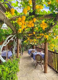 an outdoor dining area with tables and chairs covered in yellow lemons hanging from the ceiling