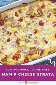 ham and cheese strata casserole with text low fodmap & gluen free