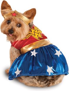 a small dog dressed up like wonder woman