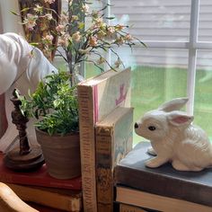 a white rabbit figurine sitting on top of a stack of books next to a potted plant