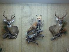 three deer mounted on the wall with fake antlers