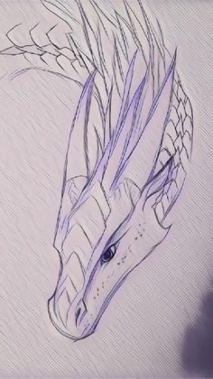 a drawing of a dragon's head in purple and white