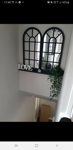 a window with the word love written on it and a plant in front of it