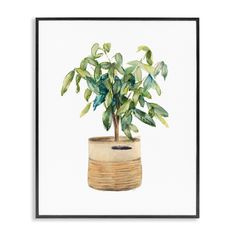 a watercolor painting of a potted plant