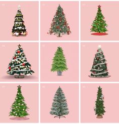 twelve different types of artificial christmas trees