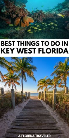 the best things to do in key west florida, and what to see if you can't go there