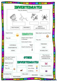 an insect life cycle worksheet for kids