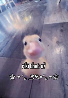 a baby duck looking up at the camera with words written below it that says, riki that u?