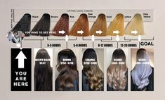 This Diagram Will Help You Price & Time Black To Blonde Transformations - Behindthechair.com Black To Blonde, Black To Blonde Hair, Box Dye, Going Blonde, Balayage Technique, Haircut Types