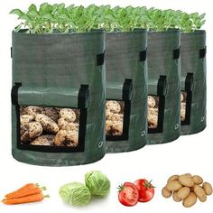 three bags filled with vegetables next to some carrots and lettuce on a white background