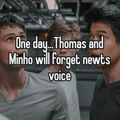 one day thomas and minho will forget news voice