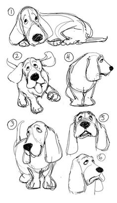 how to draw a cartoon dog step by step