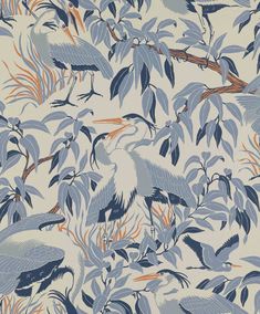 a wallpaper with blue and orange birds on branches in front of white background,