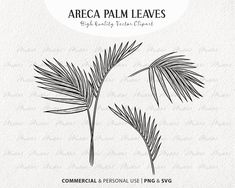 two palm leaves on a white background with the words, commercial & personal use svg