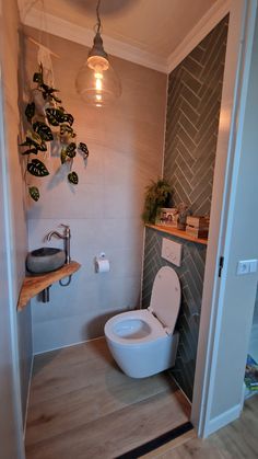 a white toilet sitting in a bathroom next to a wooden shelf with potted plants on it