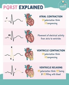 Nursing School Studying Cheat Sheets, Nurse Skills, Kedokteran Gigi, Nursing Study Guide, Nursing School Motivation