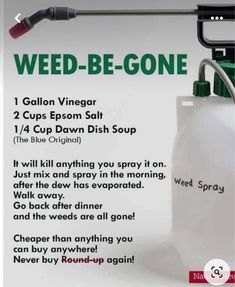 Homemade Weedkiller Spray, Diy Plant Insecticide, Best Homemade Weedkiller Spray, Vinegar Mixture For Weeds, Vinager To Kill Weeds, Kill Weeds Naturally, Kill Weeds, Garden Weeds