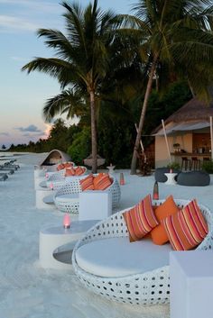 lounge chairs lined up on the beach at sunset