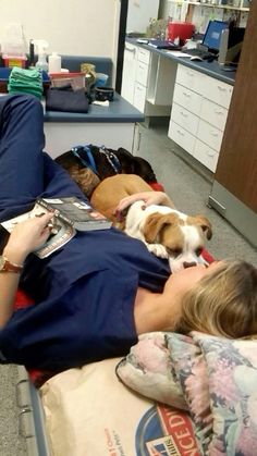 a woman laying on top of a bed with two dogs sleeping next to each other