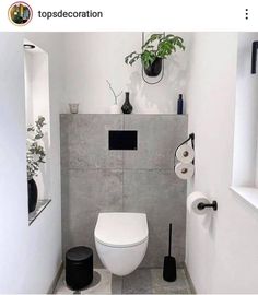 a white toilet sitting in a bathroom next to a plant on the side of it