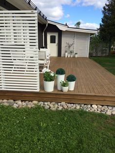 three potted plants sitting on top of a wooden deck in front of a house