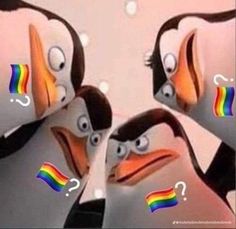 two birds with different colored beaks are looking at the same person's face