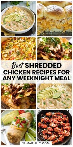 the best shredded chicken recipes for any weeknight meal