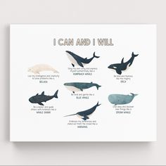 a poster with different types of whales on it's sides and the words, i can and i will